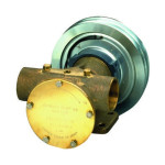 Pumpa Johnson Pump F8B-5001 10-13022-99 – 1828252