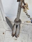 Sidro mačak, Zadar, Šibenik