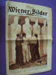 WIENER BILDER - VORBEREITUNGEN DER WIENER KUNSTLER ZUM - 1933.