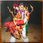 Bjork: Earth intruders