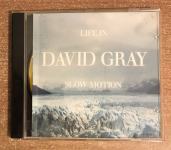 CD, DAVID GRAY - SLOW MOTION