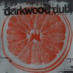 Darkwood Dub ‎– U Nedogled (CD)