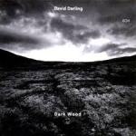 DAVID DARLING- 2 CD-a