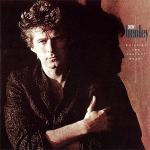 DON HENLEY - BUILDING THE PERFECT BEAST  SX1