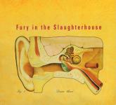 Fury in the slaughterhouse - Down there  DP