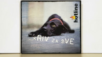 Hotline - Kriv za sve   CD