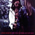 Lenny Kravitz - Are You Gonna Go My Way - CD / Hard Rock
