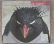Razni izvođači : AQ Clubhits 2005 CD