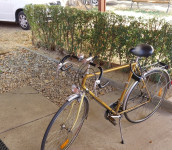 Bicikli Jungherz maraton