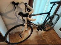 Cestovni bicikl Fuji newest 1.0 XL 58 cm
