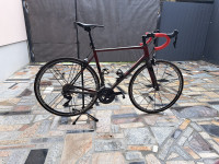 Polygon Stratos s5+Campagnolo Shamal ultra
