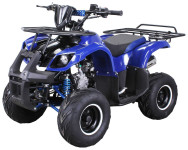 125cc RENEGADE / avtomatik + R / maksimalna oprema