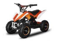 49cc Mini Quad RACER