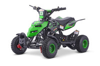 49cc Mini Quad REPTI 6 col NEW MODEL