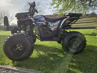 ATV  125 cm3