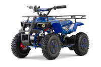 ATV DUSTY 1000W 36V 3x baterija