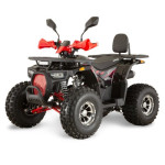 ATV HUNTER Piranha Transformer 125cc 8col