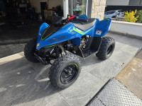 CFMOTO 110 FUN
