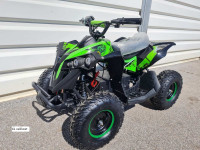 MINI ATV ELEKTRO RENEGADE 1000W klasik ali XL velikost