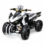 Quad 250cc bez registracije