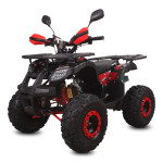 ATV 125ccm 8col AVTOMATIK ali 3+1