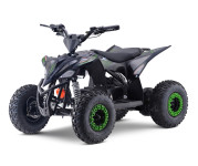ŠTIRIKOLESNIK MINIRAPTOR 1500W