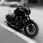 Harley Davidson Iron 883 - Sportster