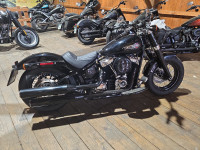 Harley Davidson softail slim m8 107  1750 cm3