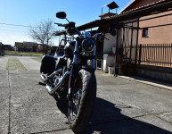Harley Davidson Sportster 1200 Custom (XL1200C) 1200 cm3