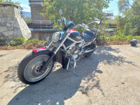 Harley Davidson V Rod 1131 cm3