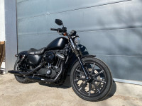 Harley Davidson XL 883 Sportster Iron 883 cm3