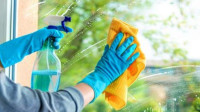 Peglanje, čišćenje stanova i vođenje kućanstva