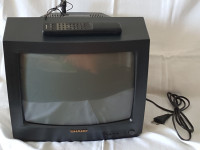 Portabl tv