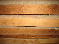 Divlja trešnja - Fosne