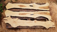 Drvo masline cca 2,5 cm za epoxy + Besplatna dostava!