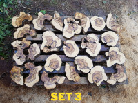 Drvo masline cca 3cm za epoxy + Besplatna dostava!