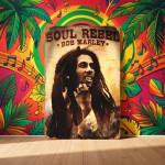 Bob Marley metalna ploča,dimenzije 30cm*20cm
