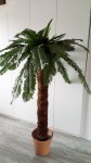 Cikas palma visine 155 cm - deblo od palmine kore - svilene grane