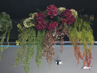 Dekorativni aranžmani za interijer