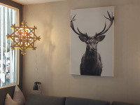 Print na platnu - jelen