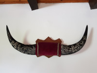 Rogovi australskog vodenog bivola