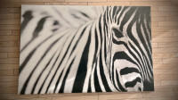 Slika zebra