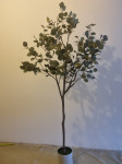 Umjetno drvo eukaliptusa