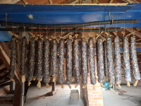 Suhomesnati proizvodi