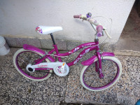 Dječji bicikl (ženski)