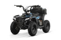 Dječji Quad Acanto Sport 6″ 1000W 36V 2026 MODEL