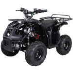 Električni Dječji Quad kvad Midi S-8 Farmer 1000W