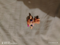 LPS narančasta ovca