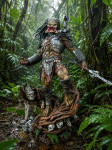 Predator