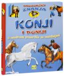 Prozorčići znanja - Konji i poniji